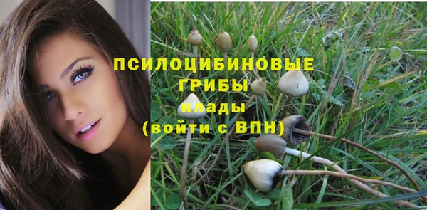 экстази Киреевск