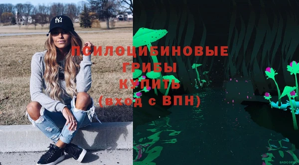 трава Кинешма
