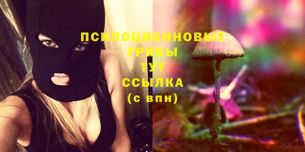 мяу мяу мука Кодинск